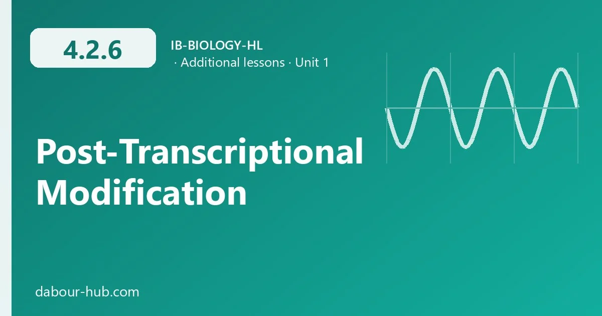 4.2.6 Post-Transcriptional Modification