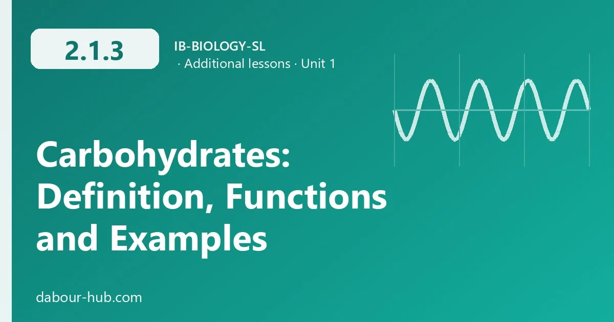 2.1.3 Carbohydrates: Definition, Functions and Examples