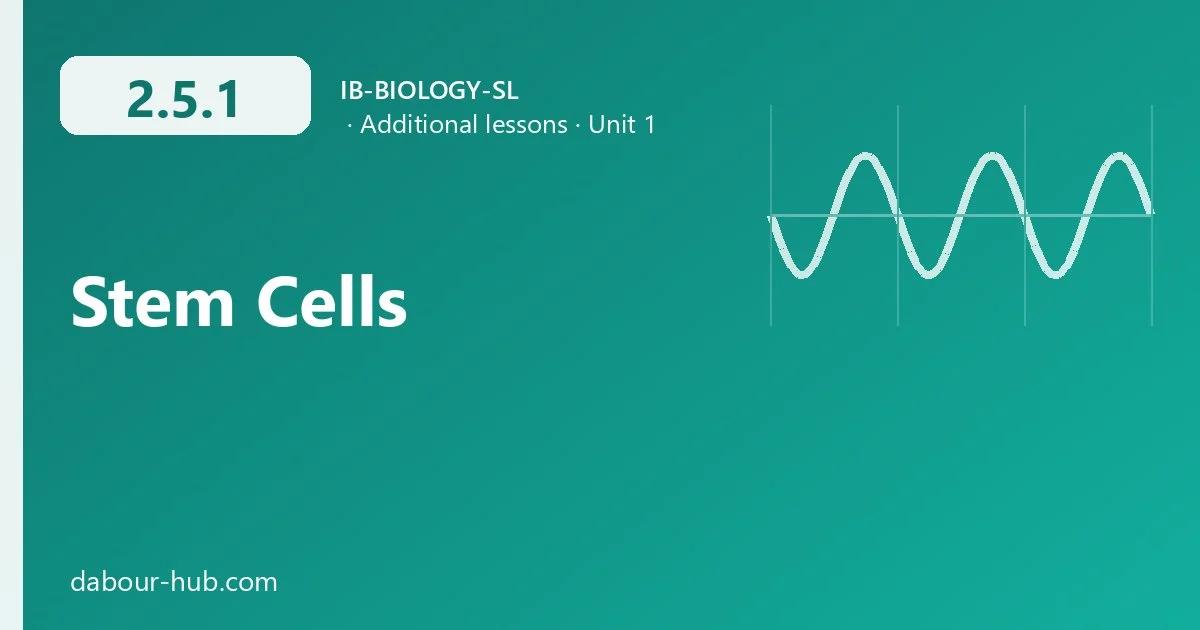 2.5.1 Stem Cells