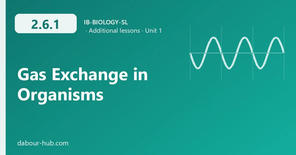 2.6.1 Gas Exchange in Organisms