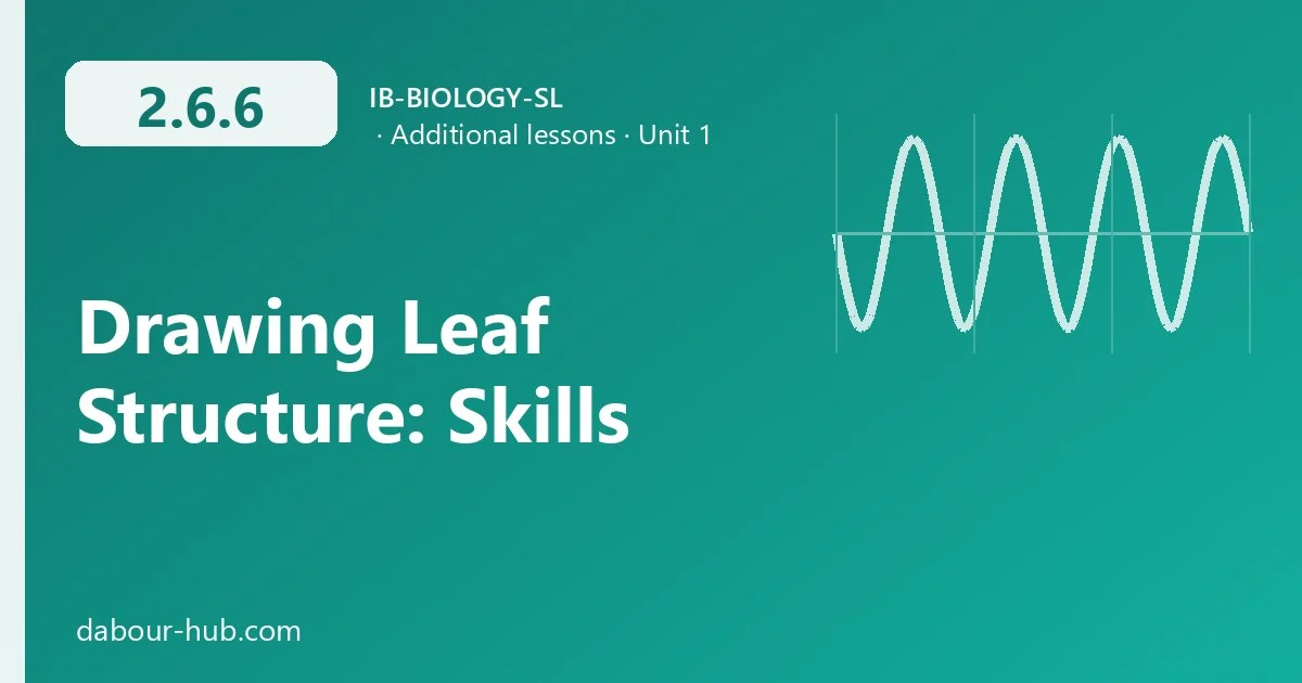 2.6.6 Drawing Leaf Structure: Skills