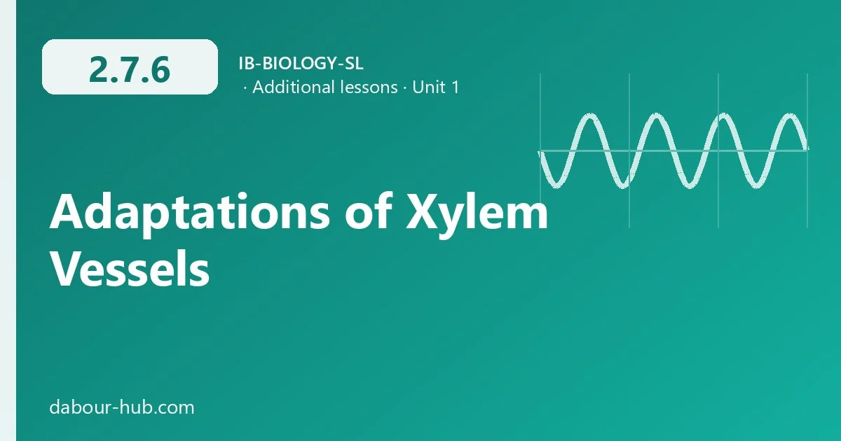 2.7.6 Adaptations of Xylem Vessels