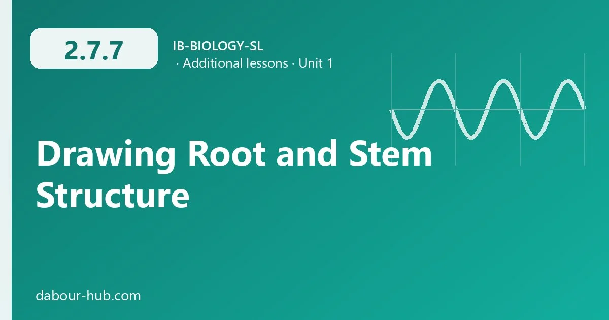 2.7.7 Drawing Root and Stem Structure