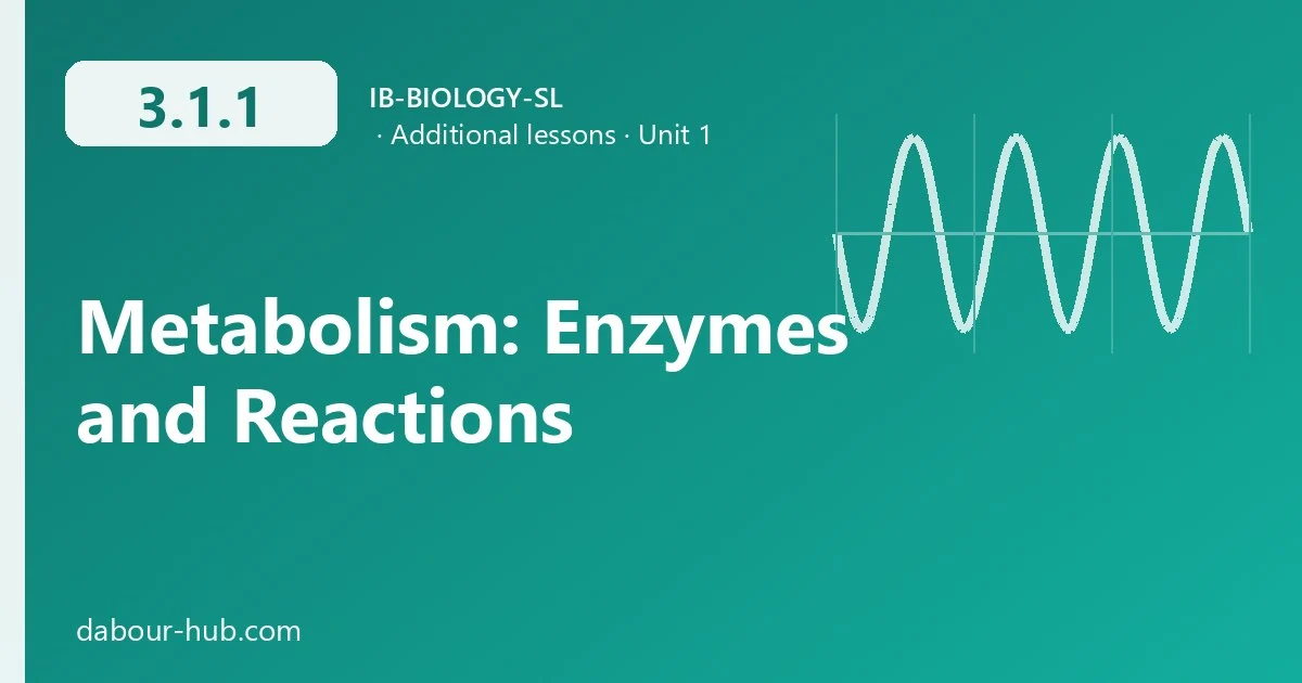 3.1.1 Metabolism: Enzymes and Reactions