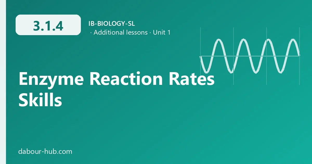 3.1.4 Enzyme Reaction Rates Skills
