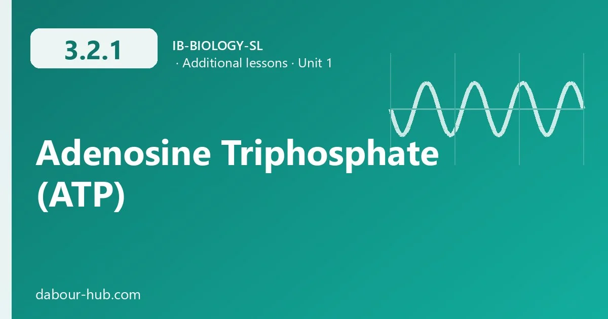 3.2.1 Adenosine Triphosphate (ATP)