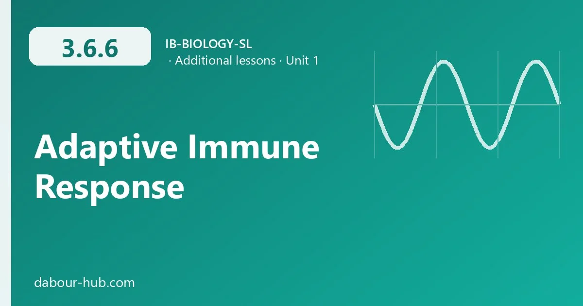 3.6.6 Adaptive Immune Response