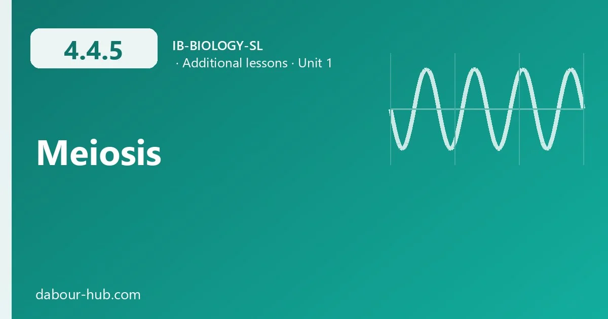 4.4.5 Meiosis