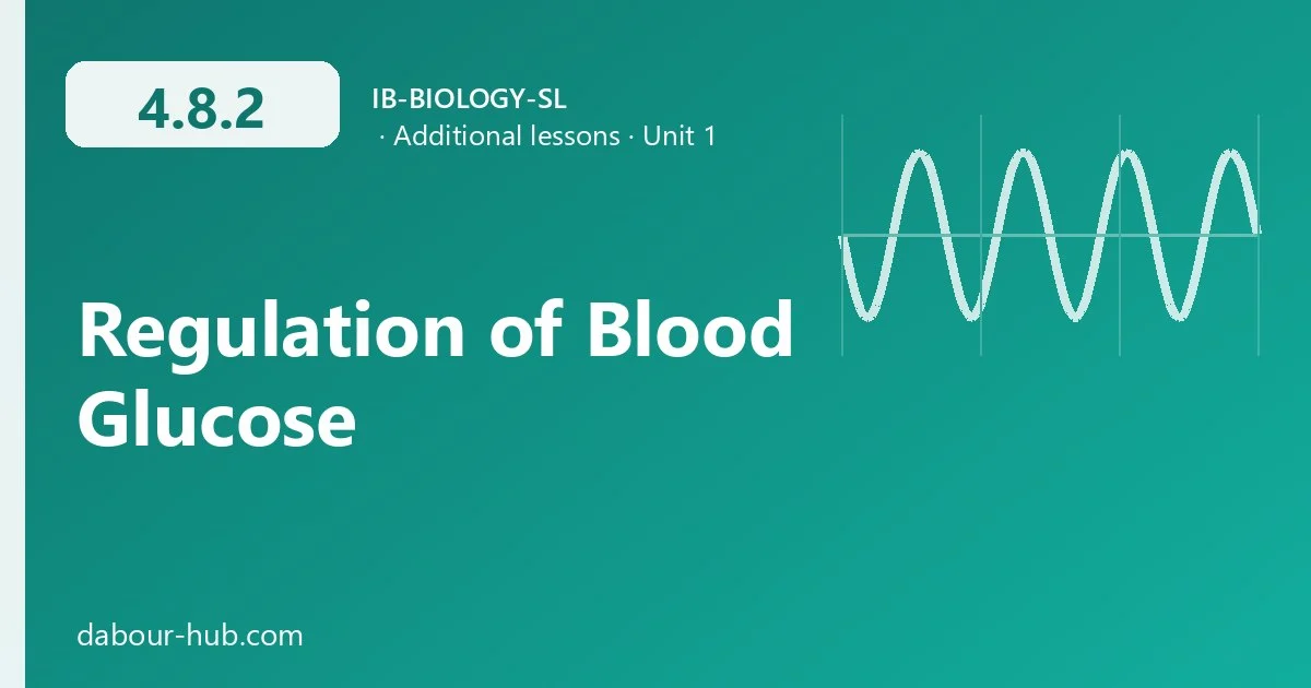 4.8.2 Regulation of Blood Glucose