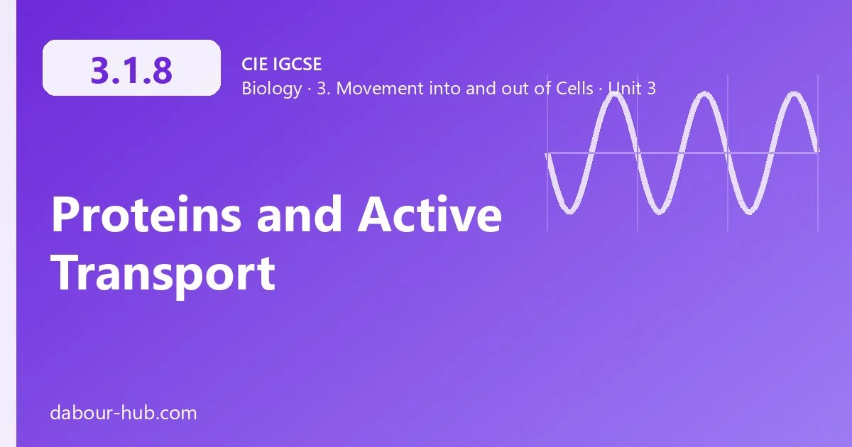3.1.8 Proteins and Active Transport
