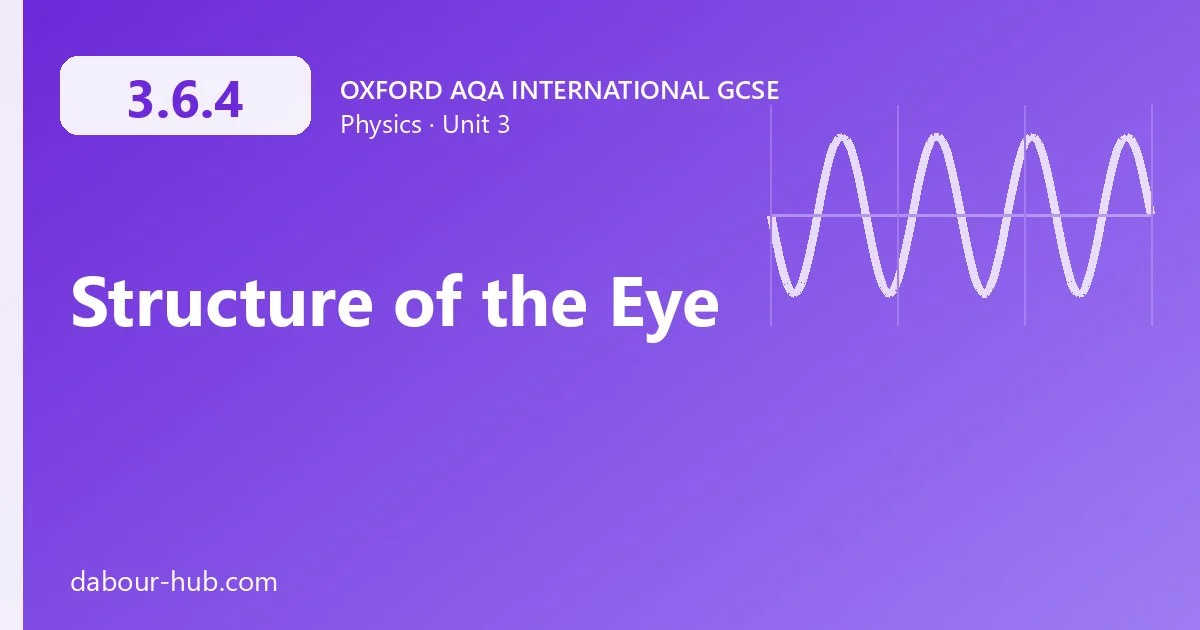 3.6.4 Structure of the Eye