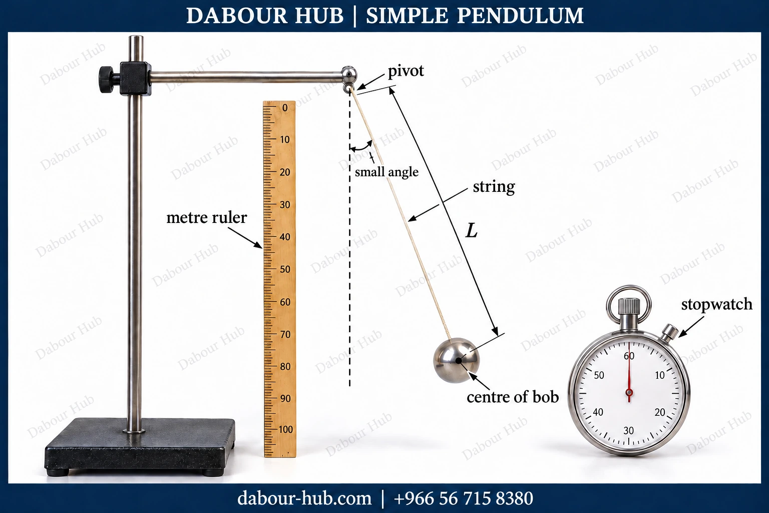 Realistic 3D model of a simple pendulum with pivot, string, centre of bob, length L, metre ruler and stopwatch.