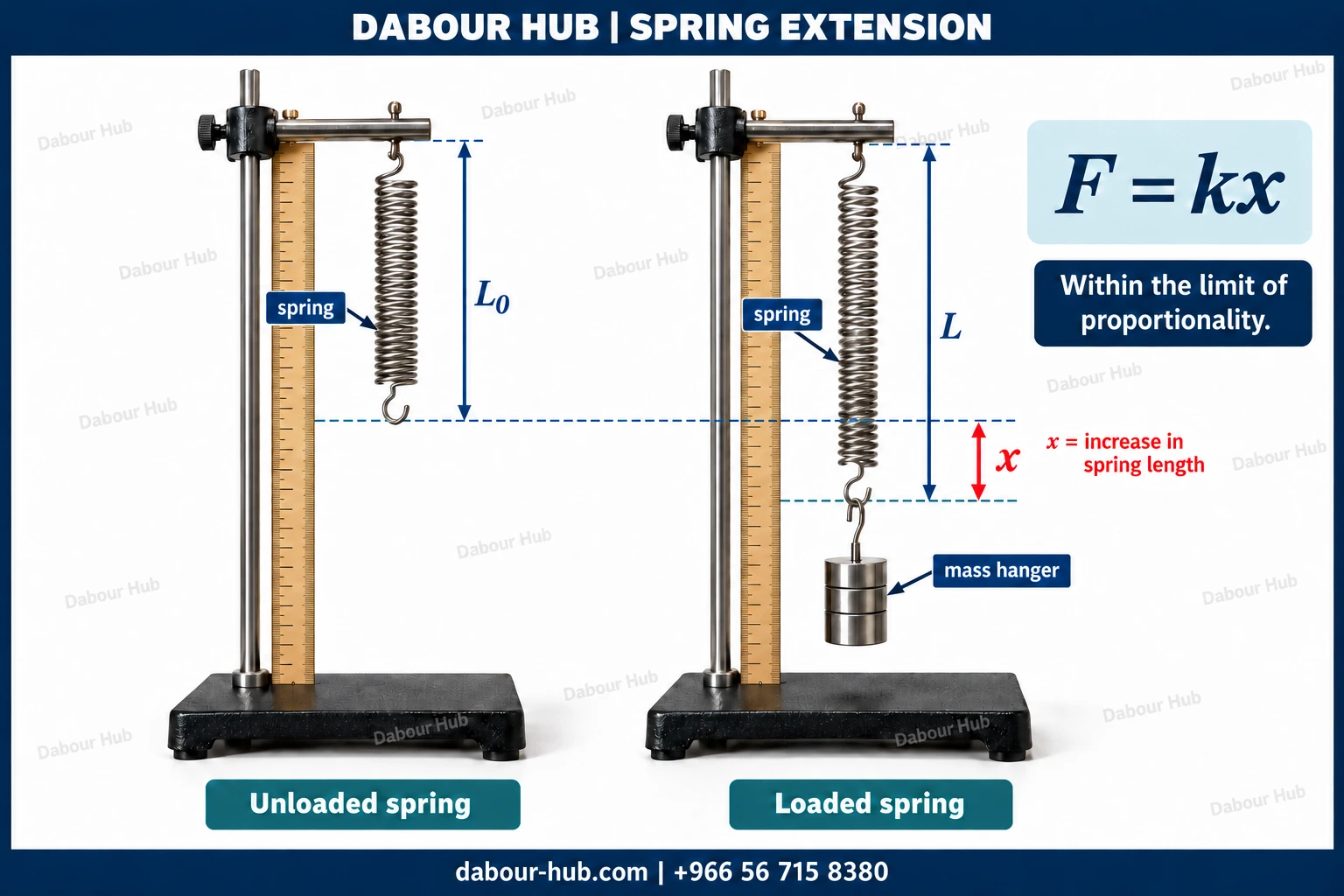 Realistic unloaded and loaded spring apparatus with clamp stands, rulers and a mass hanger, showing original length L0, loaded length L and extension x between the lower spring-hook positions.