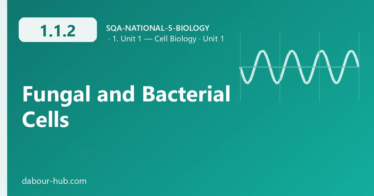 1.1.2 Fungal and Bacterial Cells