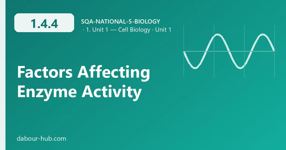 1.4.4 Factors Affecting Enzyme Activity