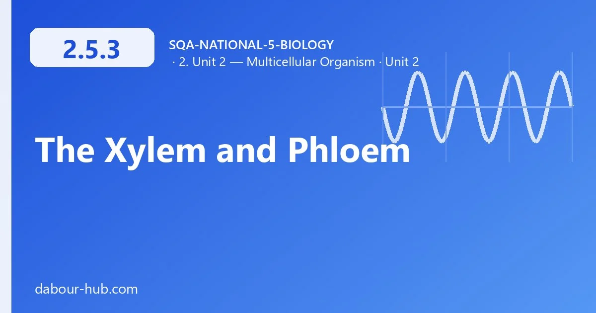 2.5.3 The Xylem and Phloem