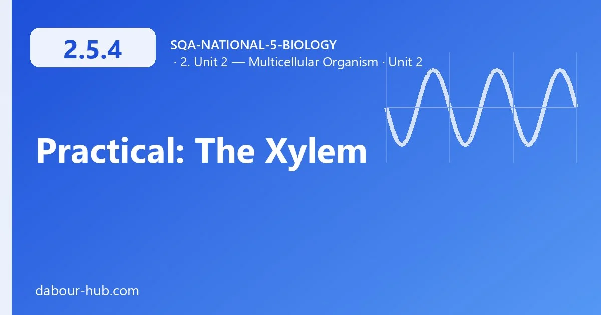 2.5.4 Practical: The Xylem