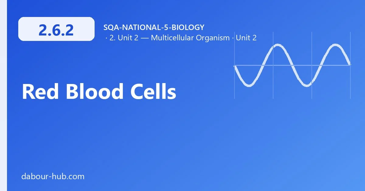 2.6.2 Red Blood Cells
