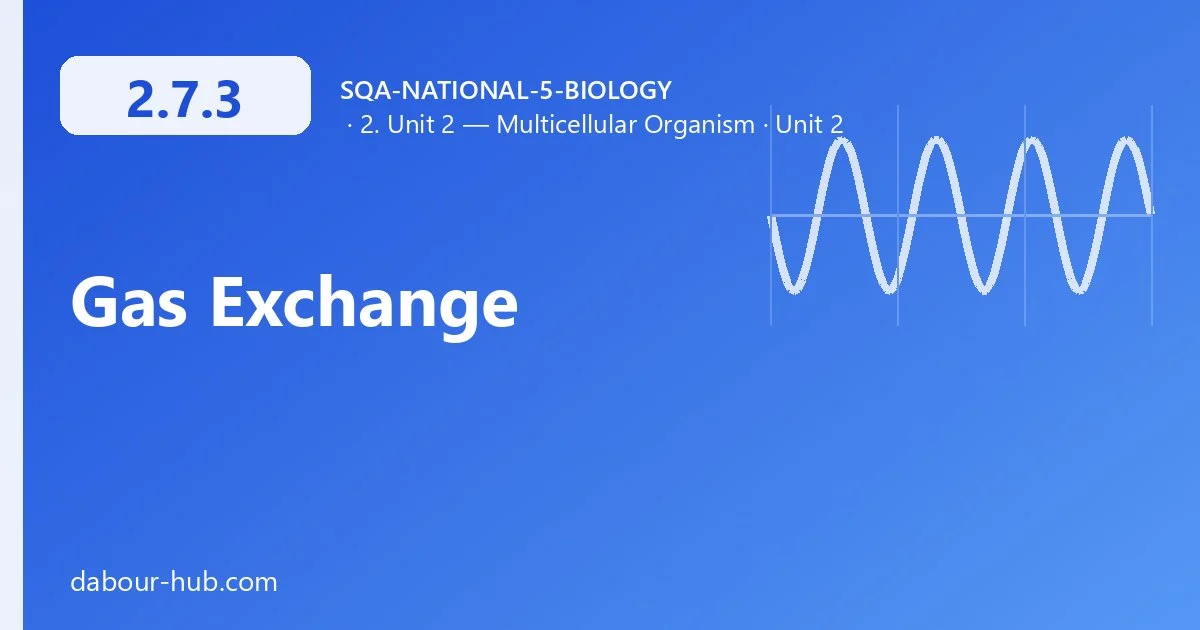 2.7.3 Gas Exchange