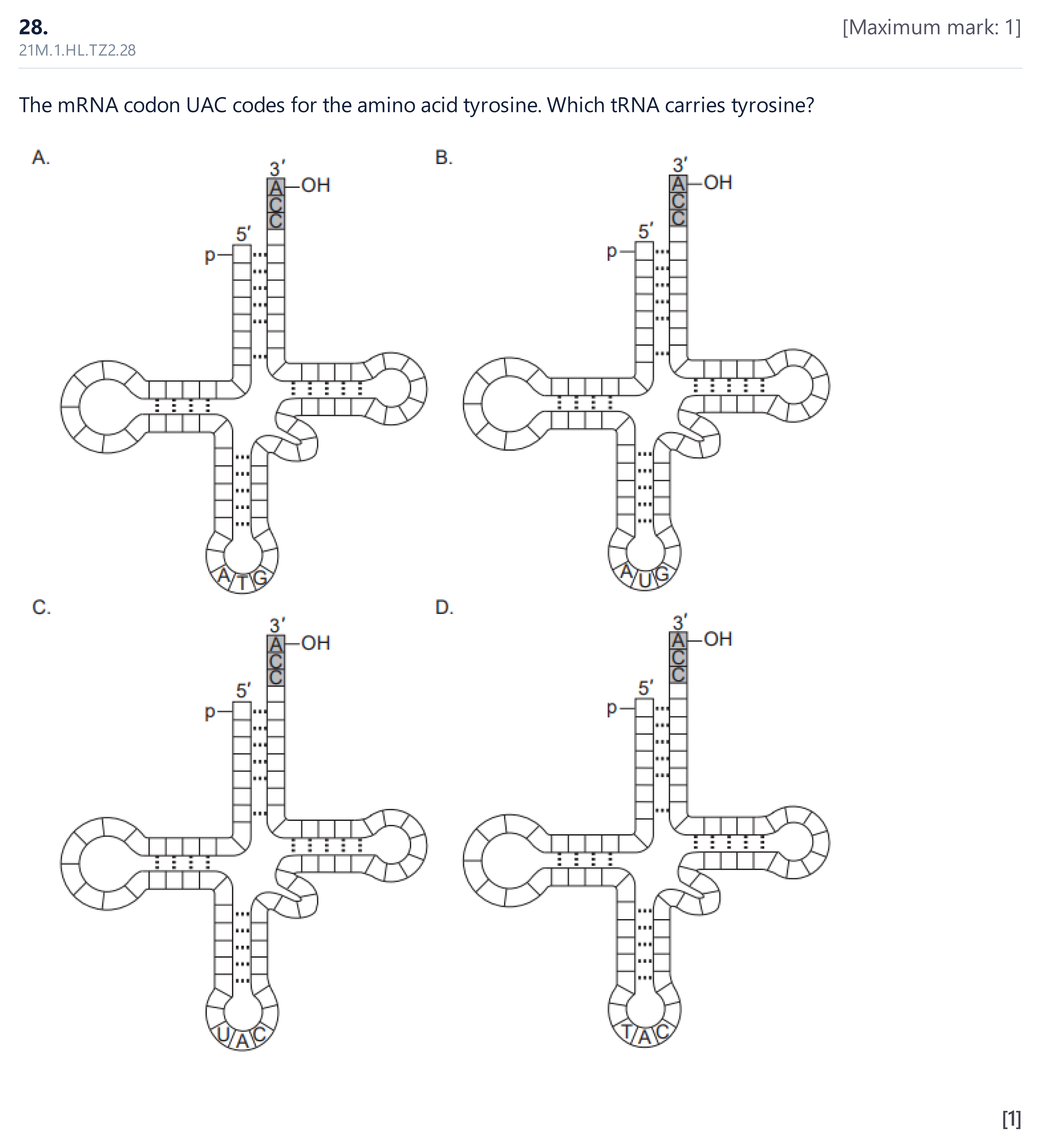 21M.1.HL.TZ2.28