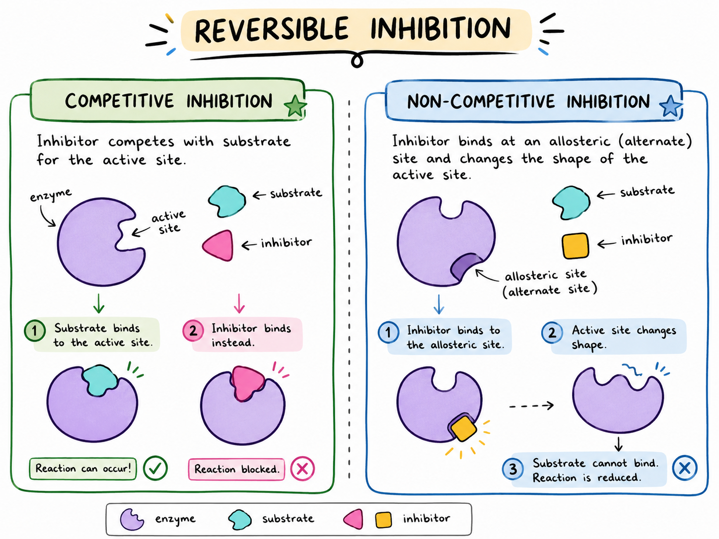 Competitive inhibition