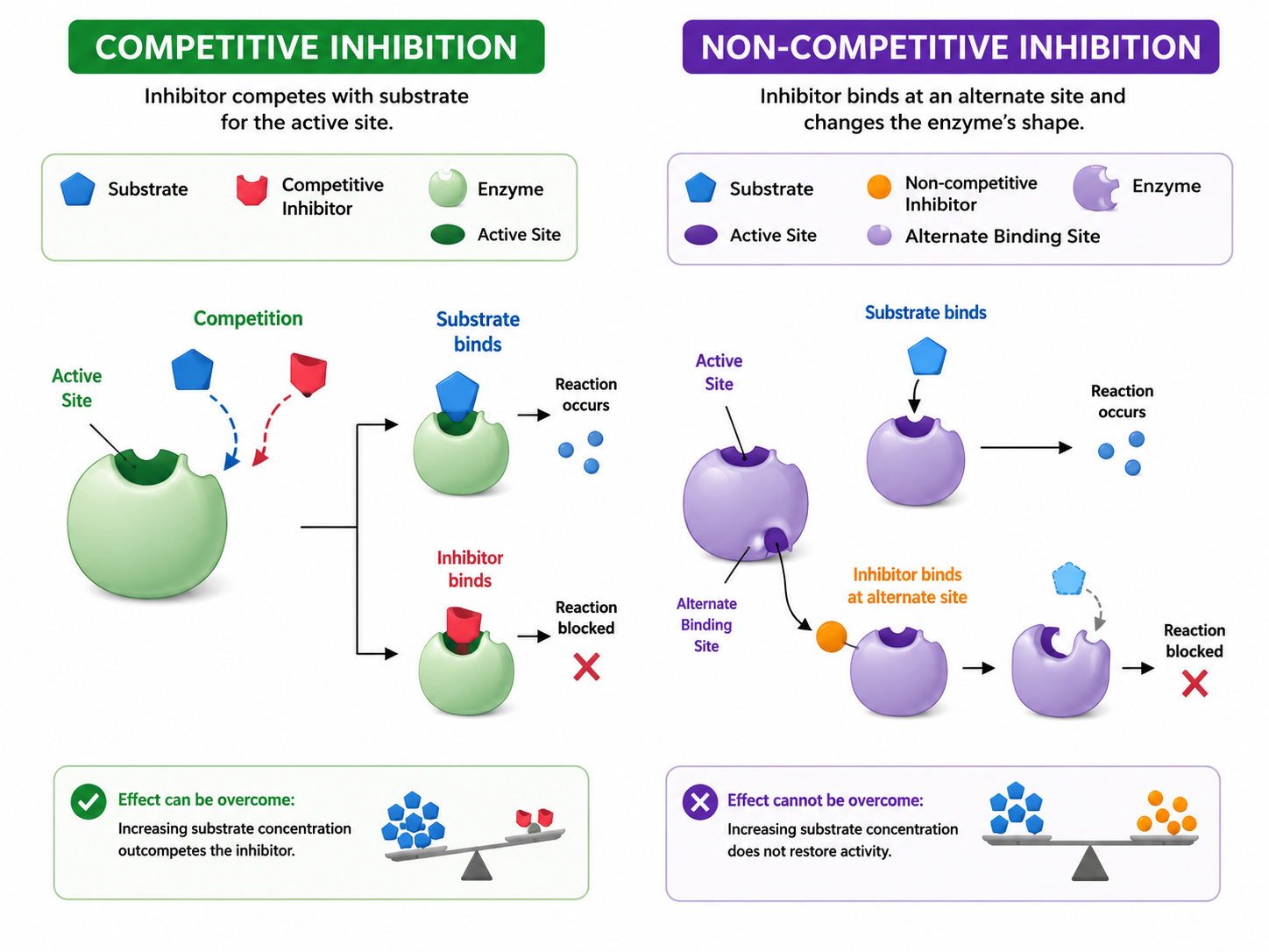 Non-competitive inhibition