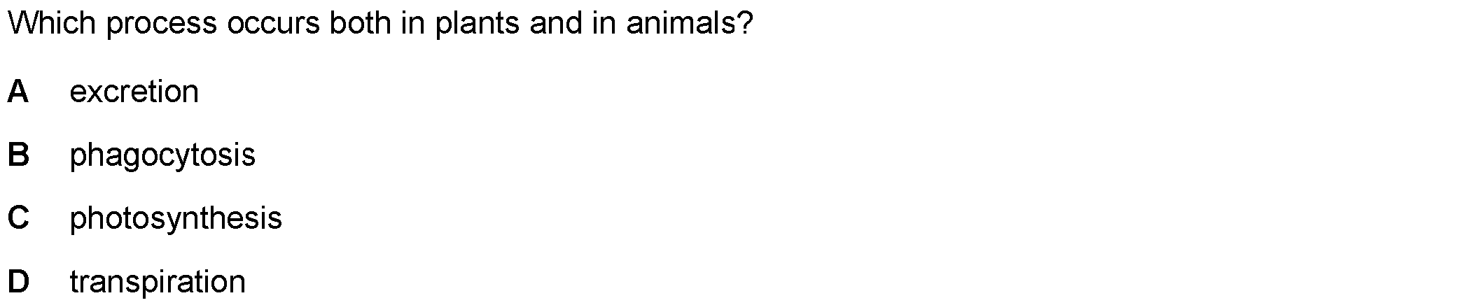 Question 12