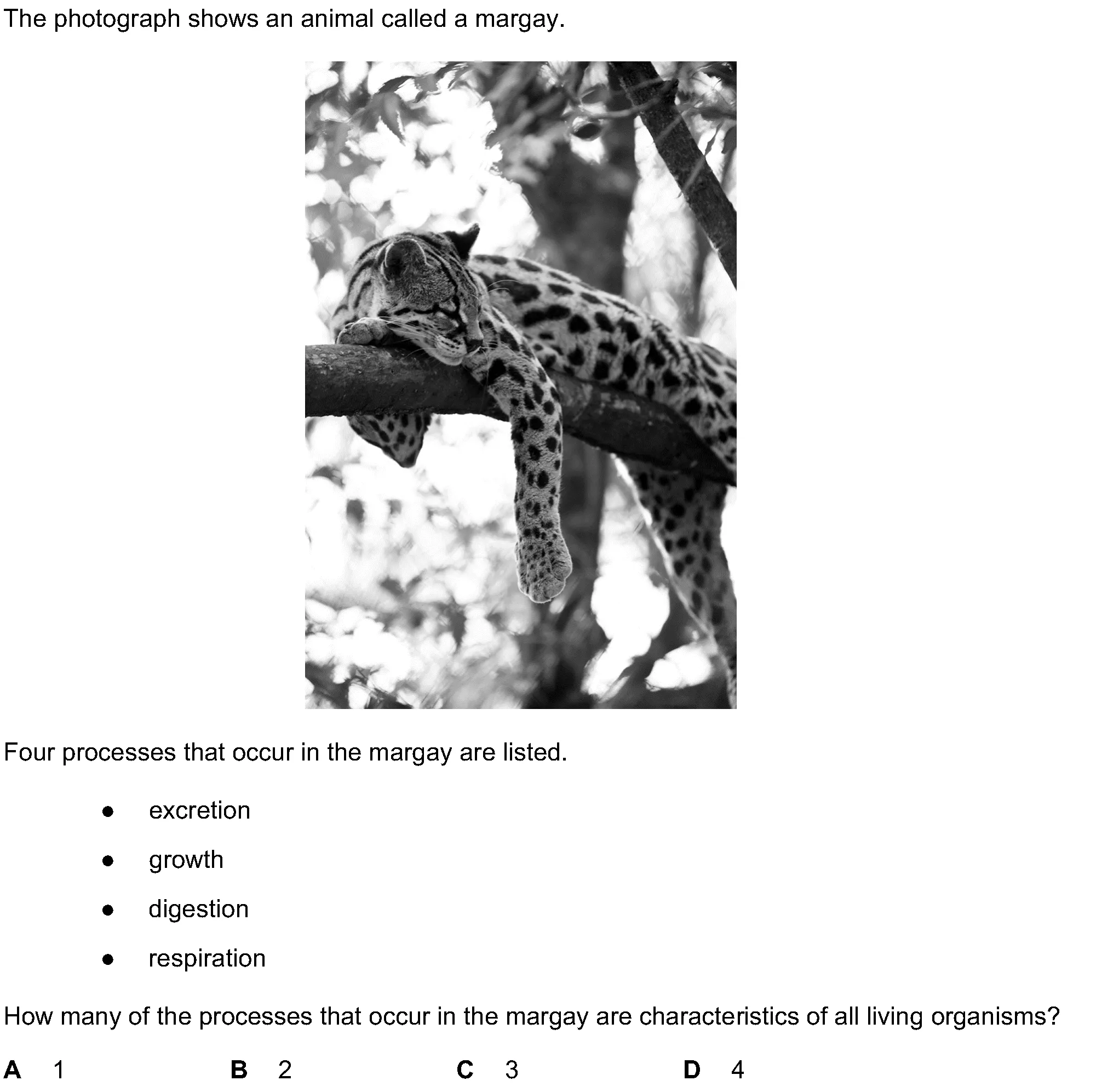 Question 16