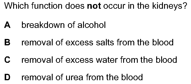 Checkpoint quiz multiple-choice question 2