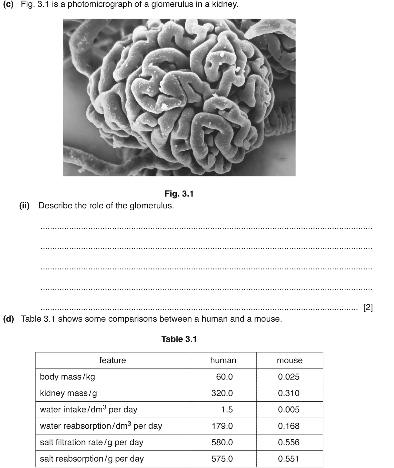 Checkpoint quiz written question 4 (c)(ii)