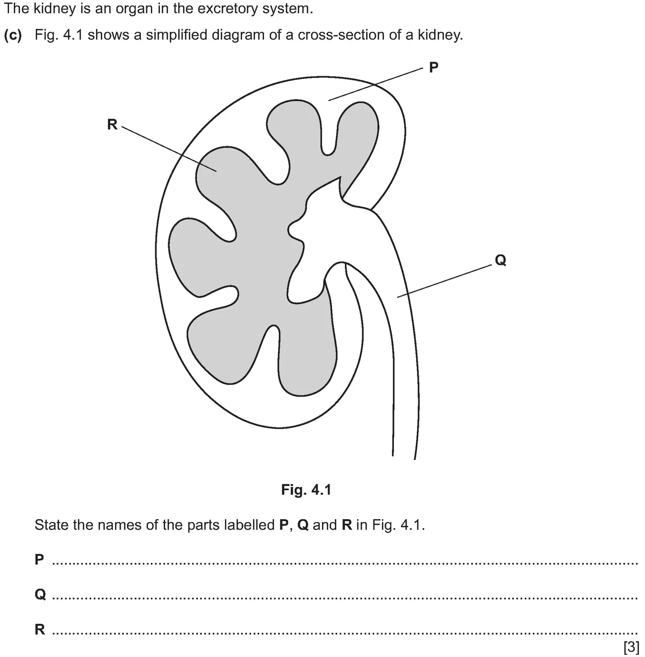Checkpoint quiz written question 3 (c)