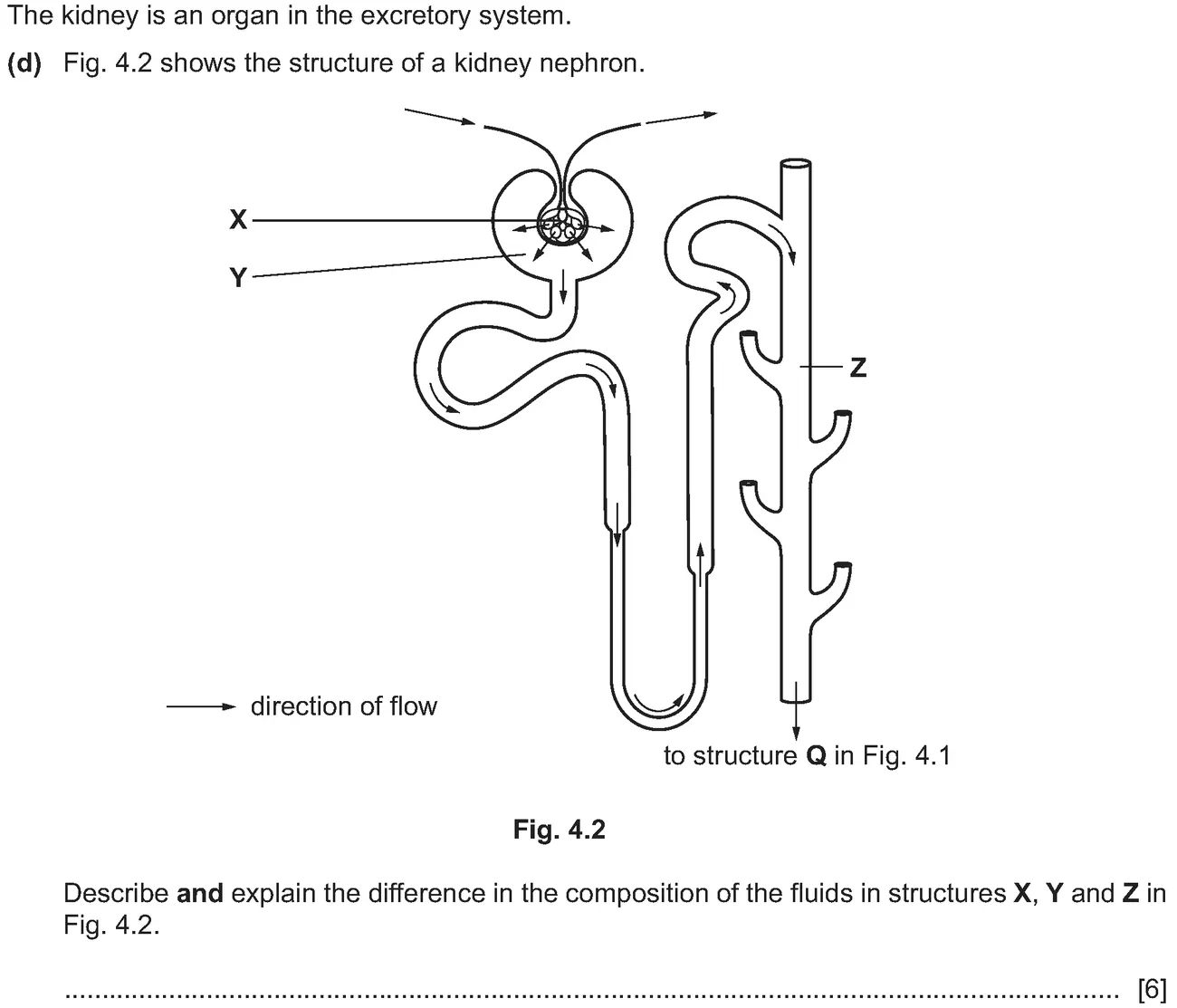 Checkpoint quiz written question 3 (d)