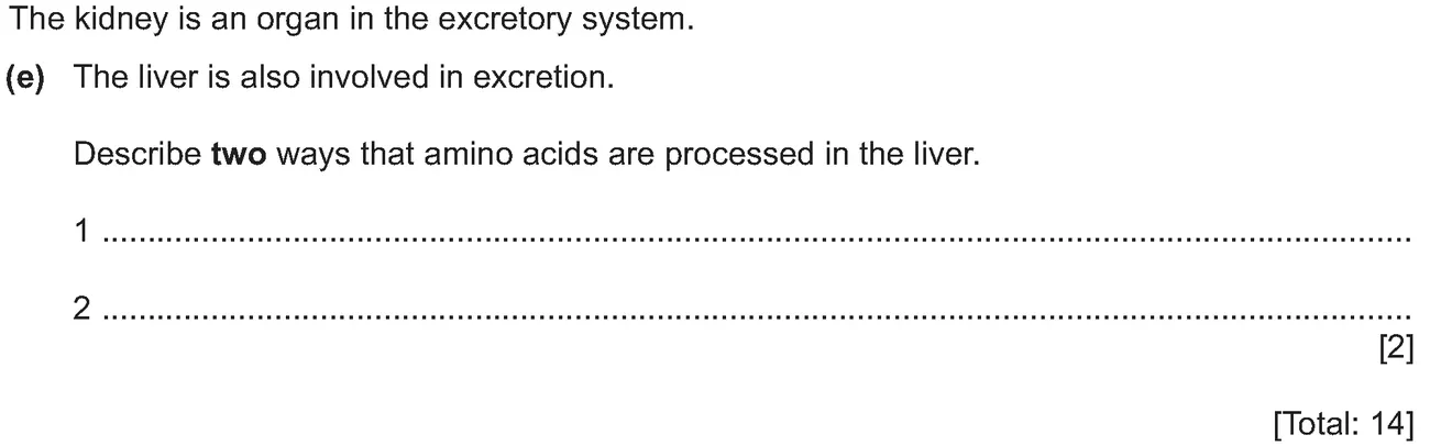 Checkpoint quiz written question 3 (e)