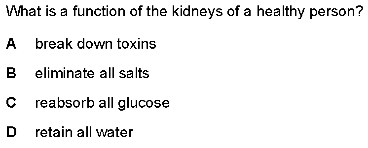 Checkpoint quiz multiple-choice question 2
