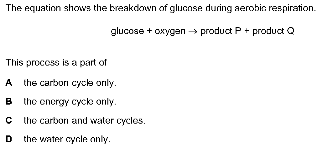Checkpoint quiz multiple-choice question 1