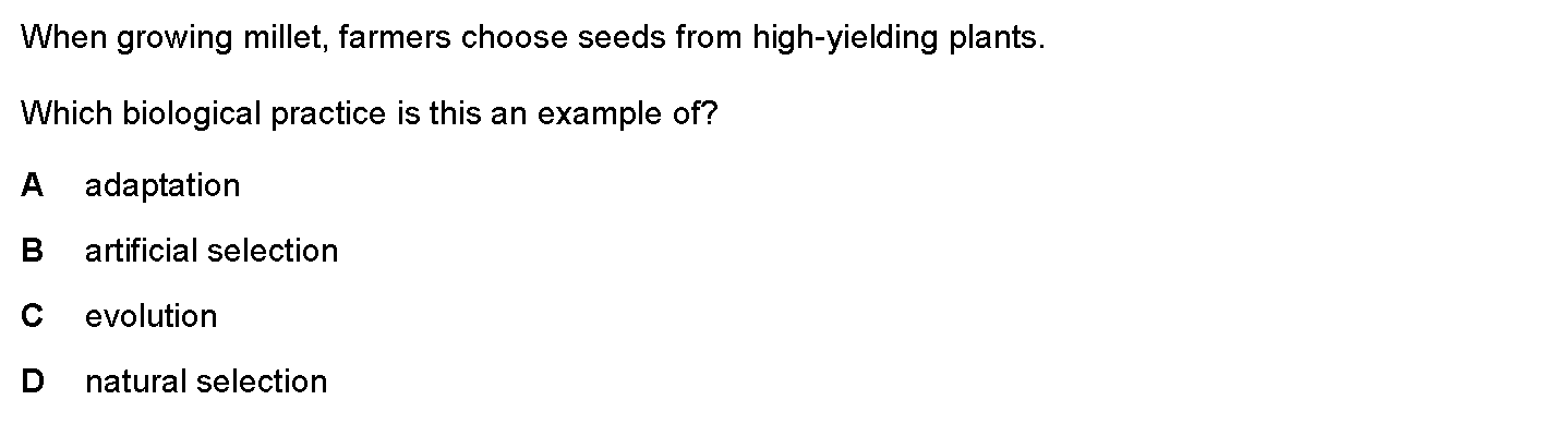 Checkpoint quiz multiple-choice question 11