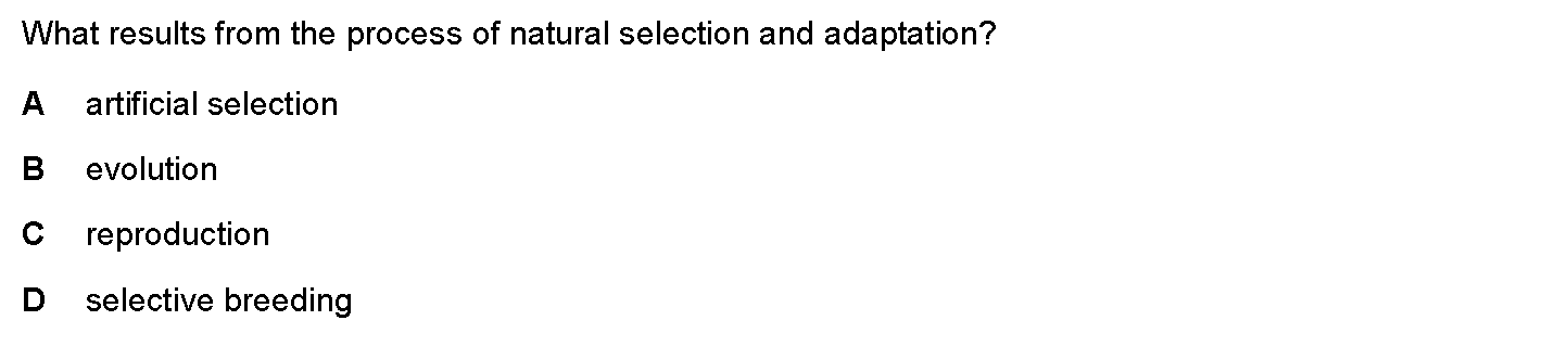 Checkpoint quiz multiple-choice question 12