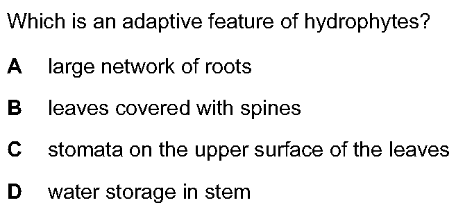 Checkpoint quiz multiple-choice question 15