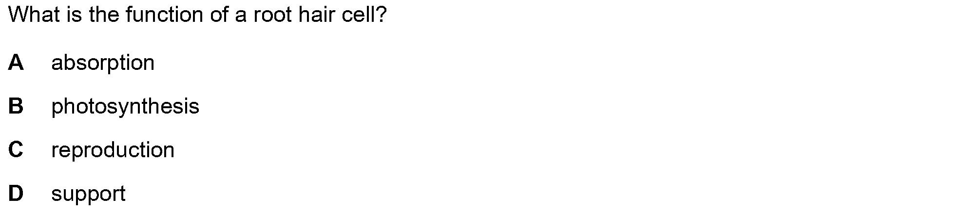 Question 3
