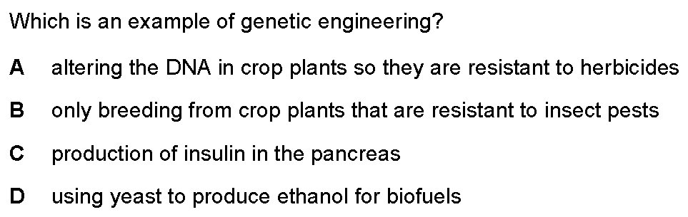 Checkpoint quiz multiple-choice question 12