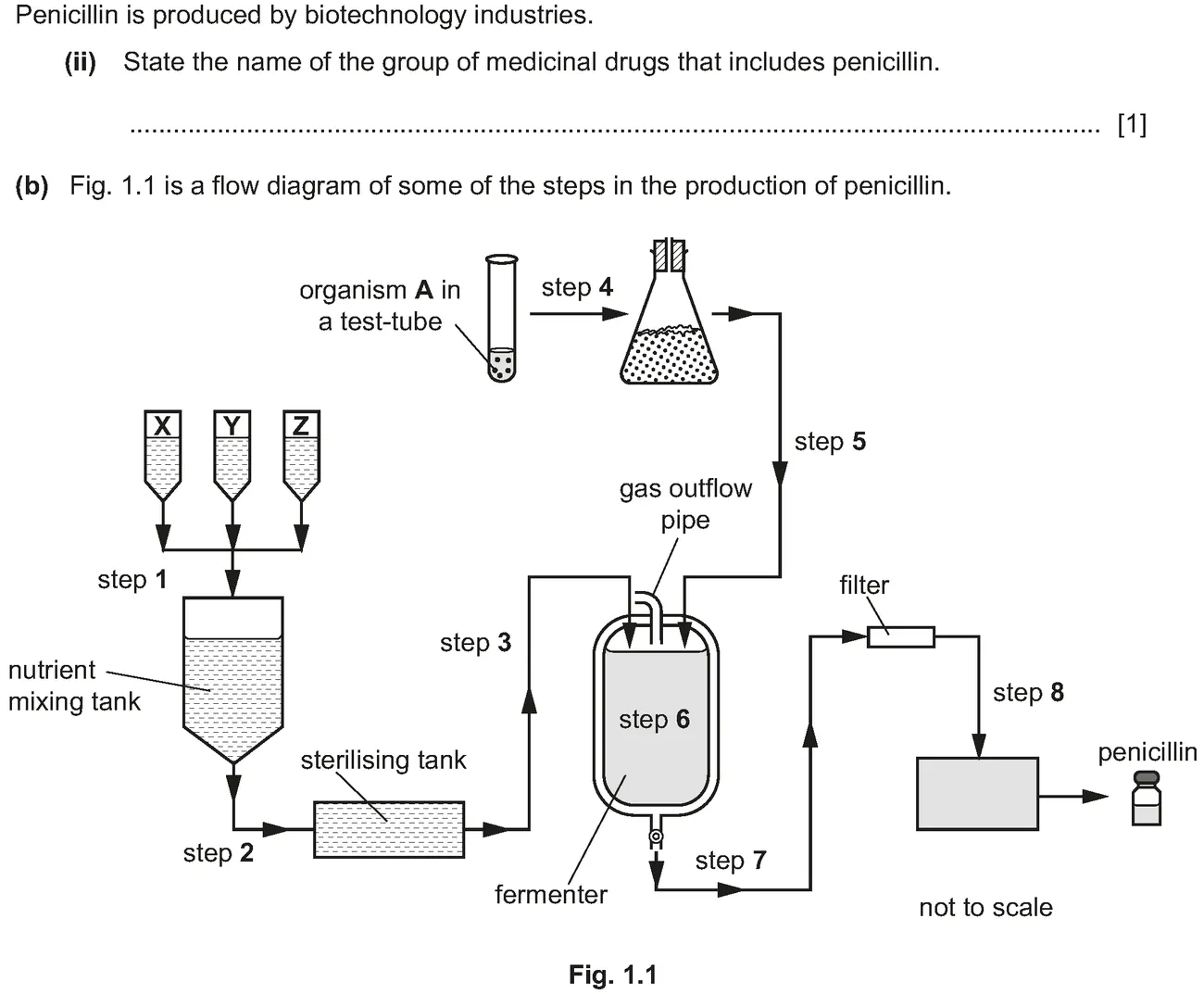 Checkpoint quiz written question 1 (a)(ii)