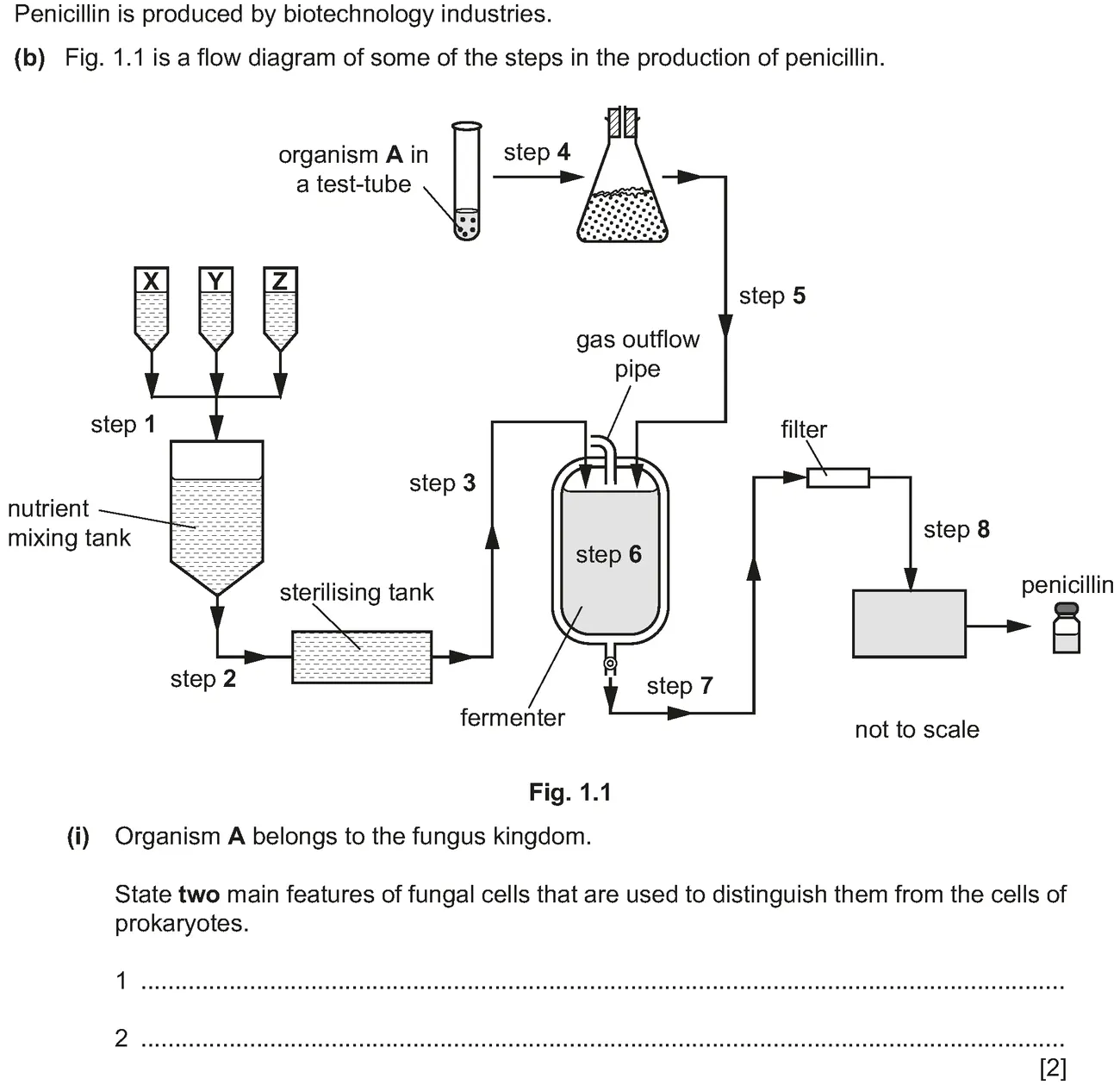 Checkpoint quiz written question 1 (b)(i)
