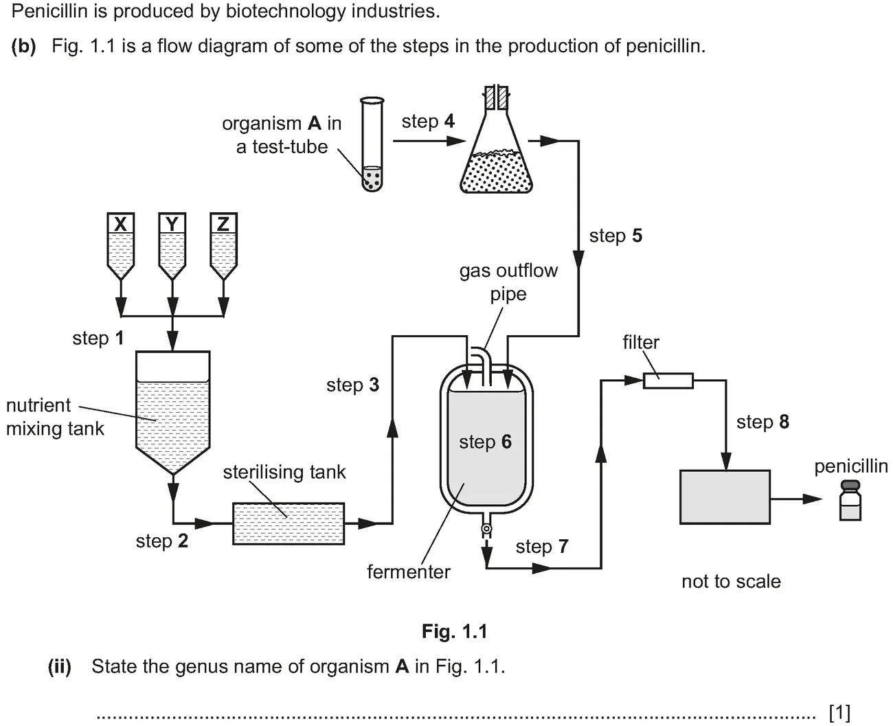 Checkpoint quiz written question 1 (b)(ii)