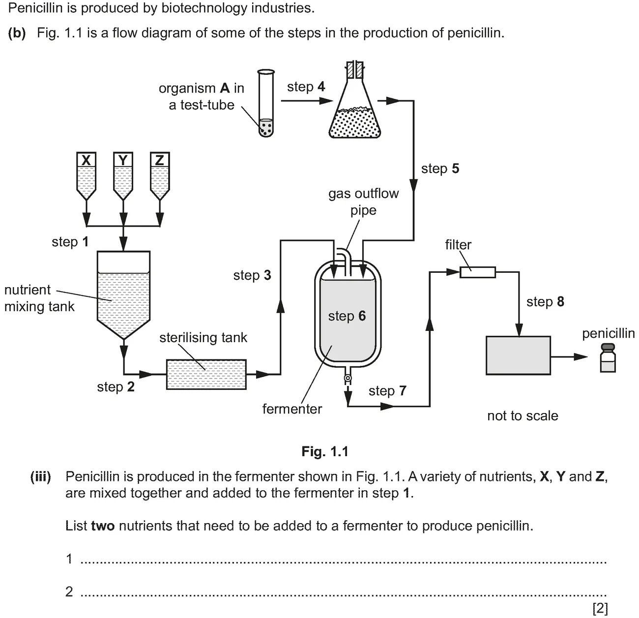 Checkpoint quiz written question 1 (b)(iii)