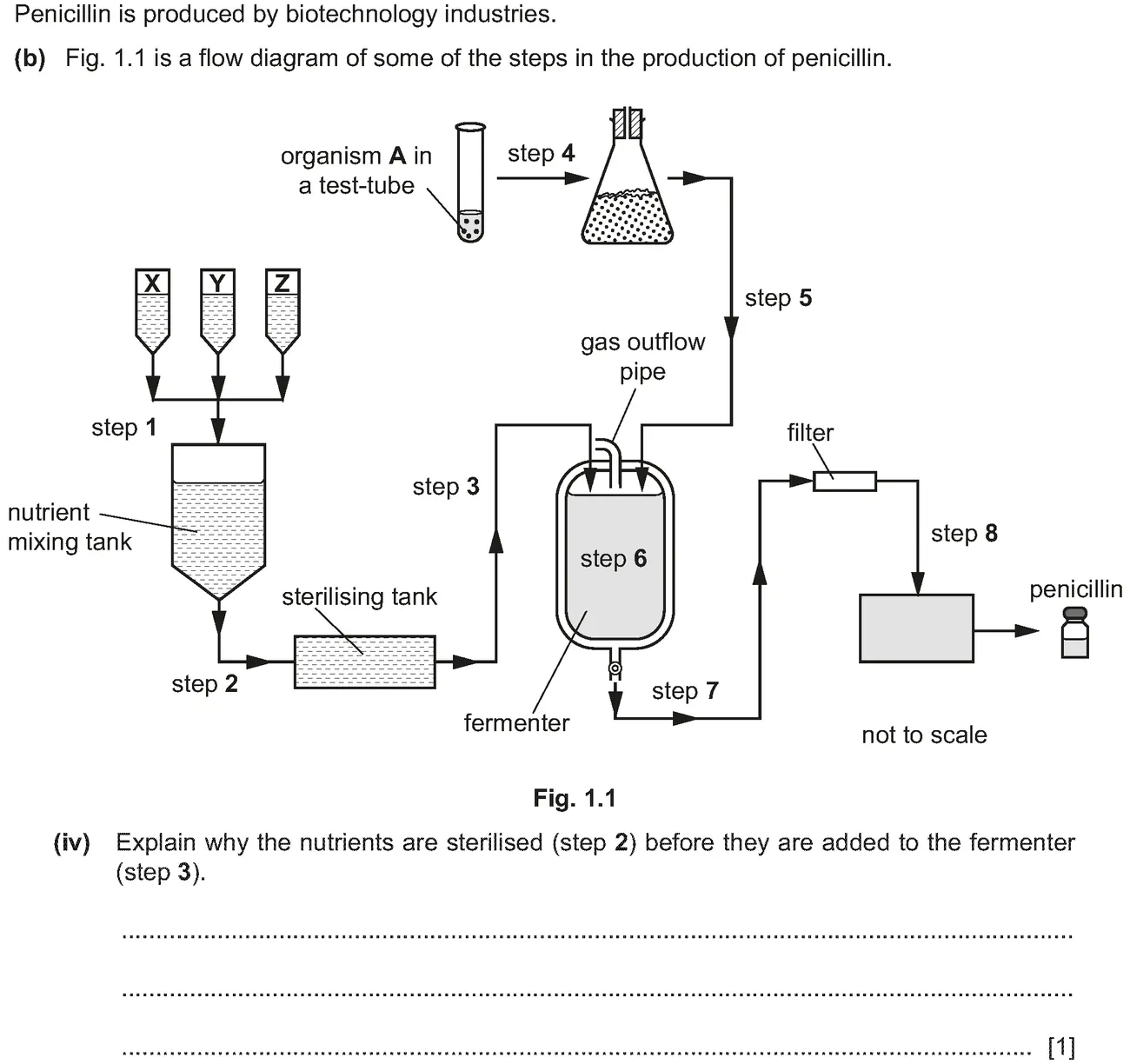 Checkpoint quiz written question 1 (b)(iv)