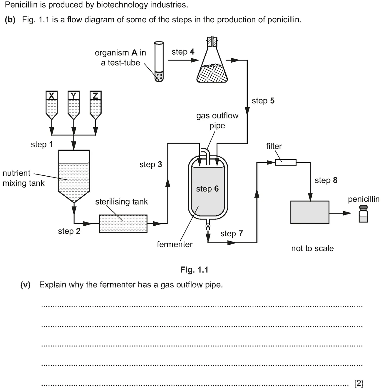 Checkpoint quiz written question 1 (b)(v)