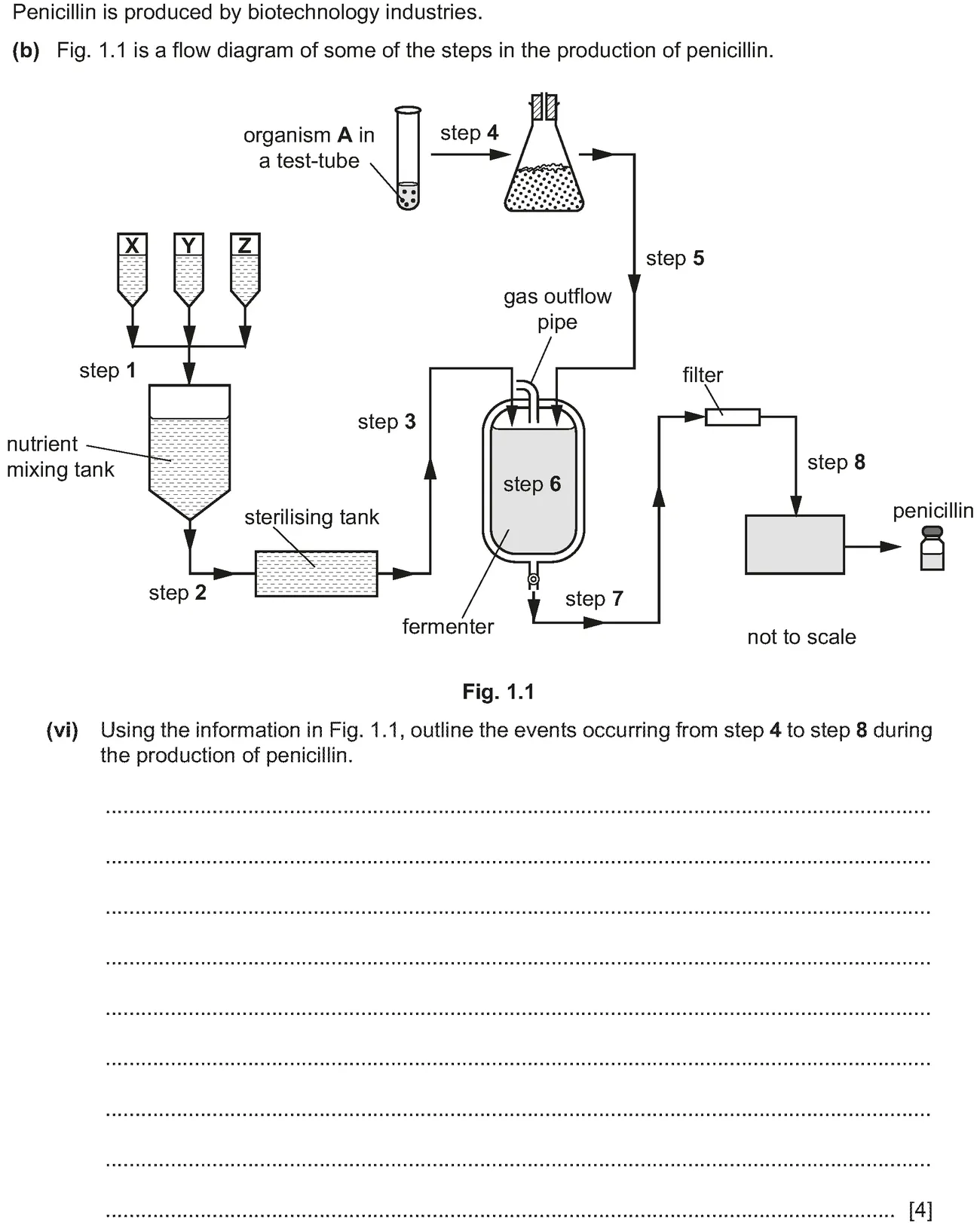 Checkpoint quiz written question 1 (b)(vi)