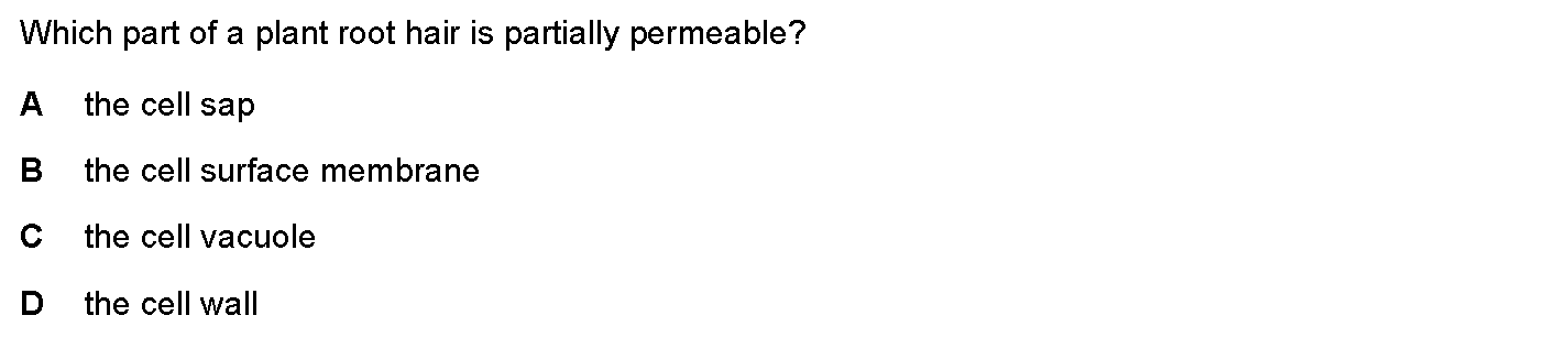 Checkpoint quiz multiple-choice question 2