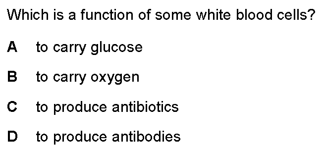 Checkpoint quiz multiple-choice question 7