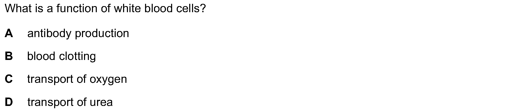 Checkpoint quiz multiple-choice question 12